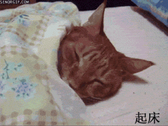 你有同感吗？