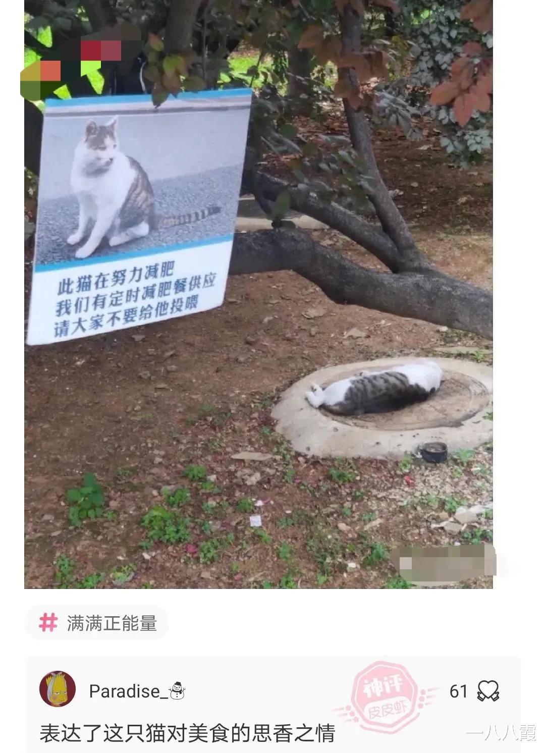 “美女穿反衣服了都不知道,我要不要提醒她呢?”哈哈哈哈好纠结 “美女穿反衣服了都不知道,我要不要提醒她呢?”哈哈哈哈好纠结