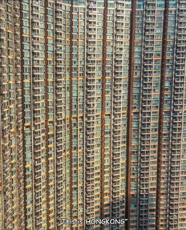 轻松一刻:偷700多只鸡办年货,这是黄鼠狼成精了吧 轻松一刻:偷700多只鸡办年货,这是黄鼠狼成精了吧