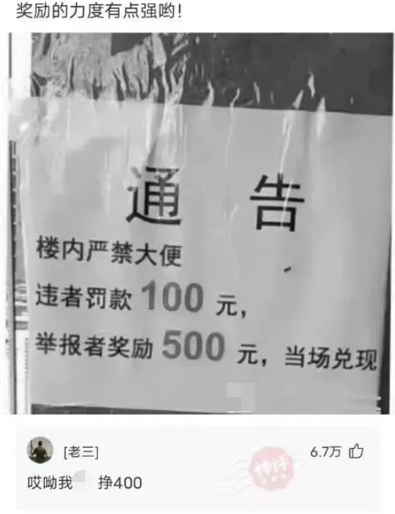 轻松一刻：偷700多只鸡办年货，这是黄鼠狼成精了吧