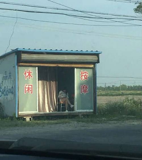 轻松一刻:偷700多只鸡办年货,这是黄鼠狼成精了吧 轻松一刻:偷700多只鸡办年货,这是黄鼠狼成精了吧