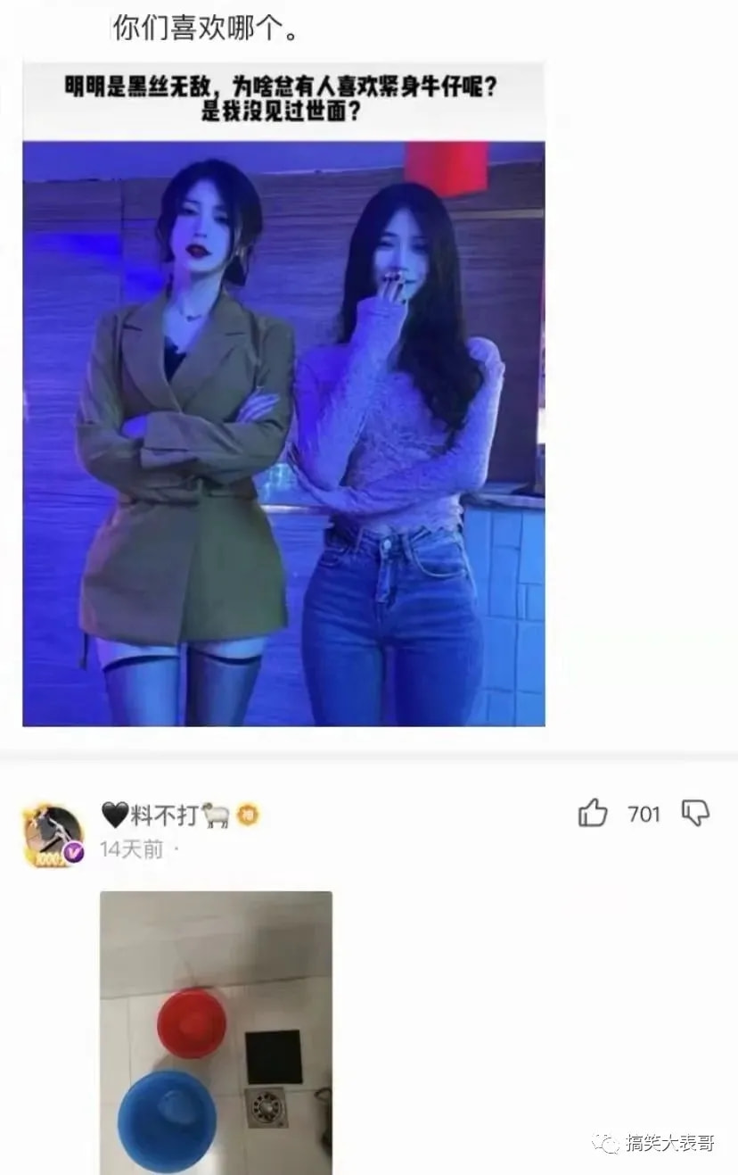 轻松一刻:偷700多只鸡办年货,这是黄鼠狼成精了吧 轻松一刻:偷700多只鸡办年货,这是黄鼠狼成精了吧