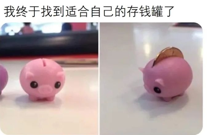 轻松一刻:偷700多只鸡办年货,这是黄鼠狼成精了吧 轻松一刻:偷700多只鸡办年货,这是黄鼠狼成精了吧
