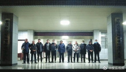 轻松一刻:偷700多只鸡办年货,这是黄鼠狼成精了吧 轻松一刻:偷700多只鸡办年货,这是黄鼠狼成精了吧