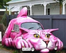 卖萌的车 卖萌的车