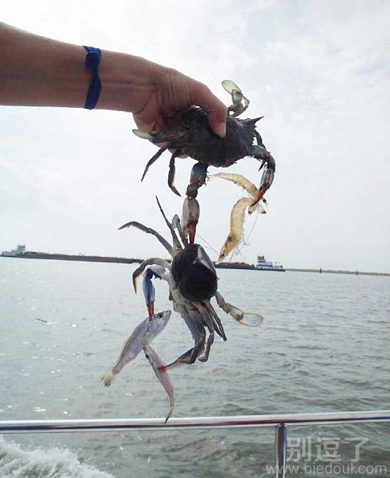 一箭六雕的高手。 一箭六雕的高手。