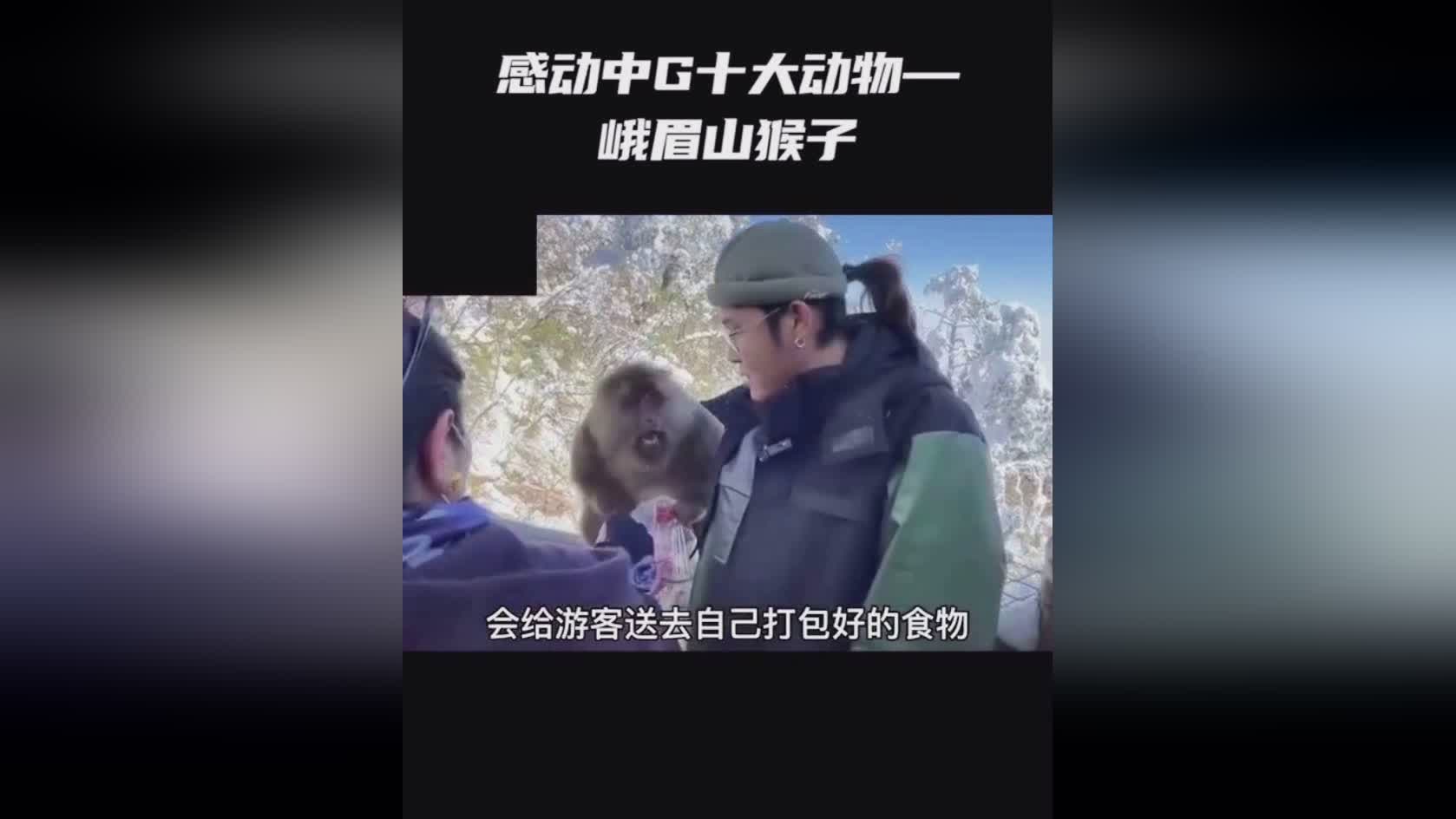 今年最尴尬婚礼视频流出，孙子当场要求奶奶再生一个，就离谱哈哈哈哈哈哈！