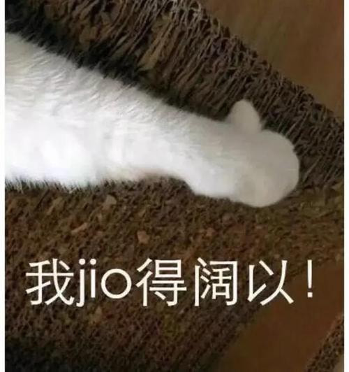 轻松一刻:恭喜女足和男足,双双亚洲无敌手! 轻松一刻:恭喜女足和男足,双双亚洲无敌手!