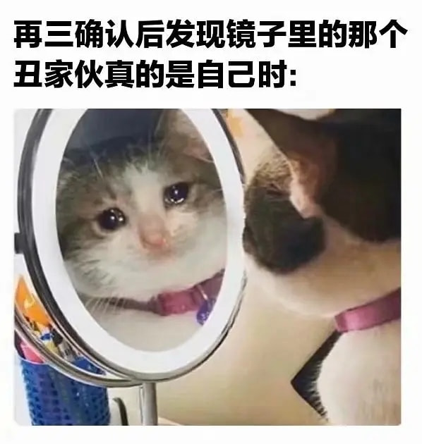 轻松一刻:恭喜女足和男足,双双亚洲无敌手! 轻松一刻:恭喜女足和男足,双双亚洲无敌手!