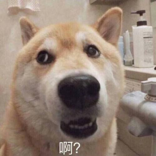 轻松一刻:恭喜女足和男足,双双亚洲无敌手! 轻松一刻:恭喜女足和男足,双双亚洲无敌手!