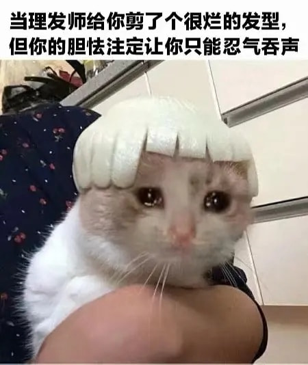 轻松一刻:恭喜女足和男足,双双亚洲无敌手! 轻松一刻:恭喜女足和男足,双双亚洲无敌手!