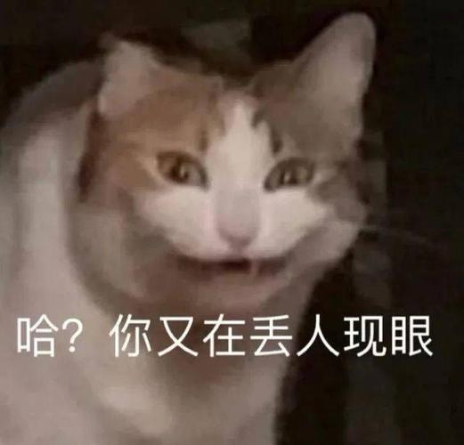 轻松一刻:恭喜女足和男足,双双亚洲无敌手! 轻松一刻:恭喜女足和男足,双双亚洲无敌手!