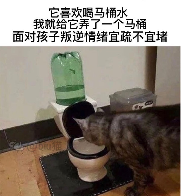 轻松一刻:恭喜女足和男足,双双亚洲无敌手! 轻松一刻:恭喜女足和男足,双双亚洲无敌手!