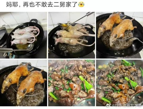 轻松一刻:恭喜女足和男足,双双亚洲无敌手! 轻松一刻:恭喜女足和男足,双双亚洲无敌手!