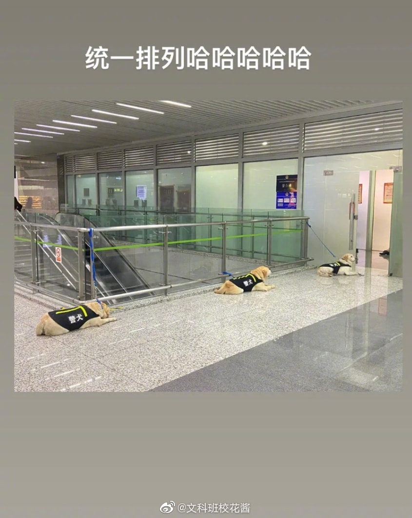 轻松一刻:恭喜女足和男足,双双亚洲无敌手! 轻松一刻:恭喜女足和男足,双双亚洲无敌手!