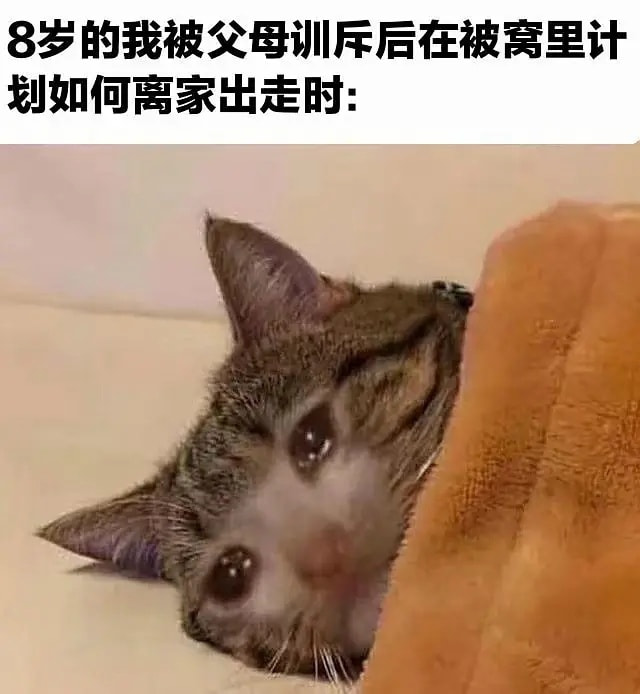 轻松一刻:恭喜女足和男足,双双亚洲无敌手! 轻松一刻:恭喜女足和男足,双双亚洲无敌手!