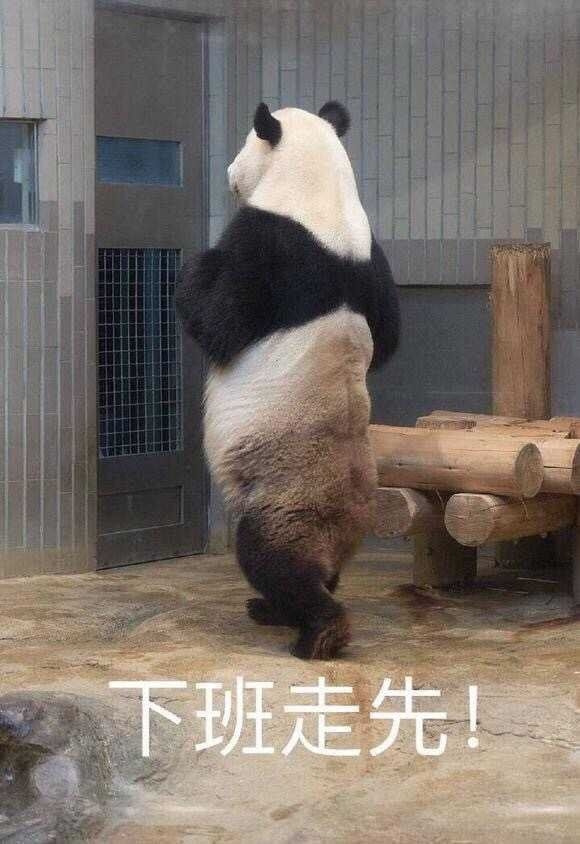 轻松一刻:初一早,初二早,初三就要睡到饱! 轻松一刻:初一早,初二早,初三就要睡到饱!