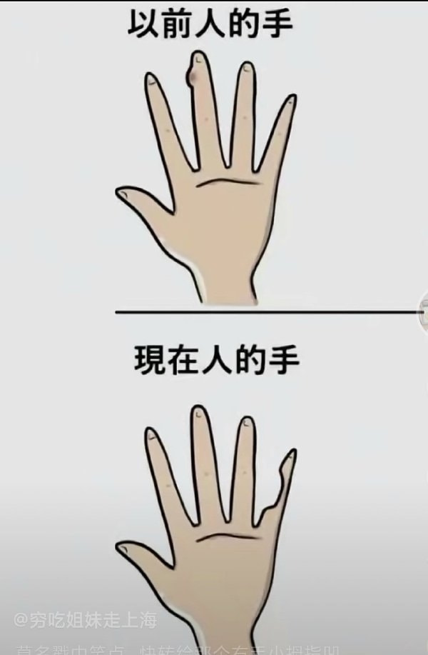 轻松一刻:初一早,初二早,初三就要睡到饱! 轻松一刻:初一早,初二早,初三就要睡到饱!