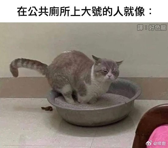 轻松一刻:初一早,初二早,初三就要睡到饱! 轻松一刻:初一早,初二早,初三就要睡到饱!