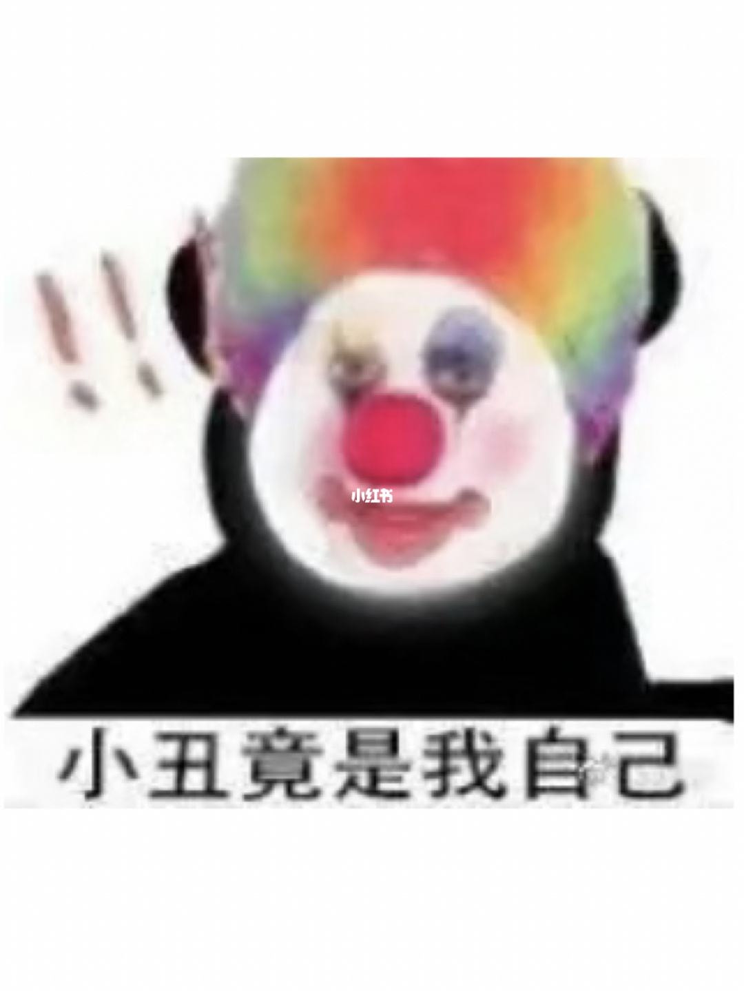 轻松一刻:初一早,初二早,初三就要睡到饱! 轻松一刻:初一早,初二早,初三就要睡到饱!