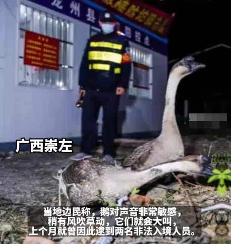 轻松一刻:1:3负越南,恭喜国足获得回家过年资格 轻松一刻:1:3负越南,恭喜国足获得回家过年资格