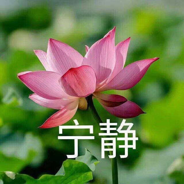 轻松一刻:1:3负越南,恭喜国足获得回家过年资格 轻松一刻:1:3负越南,恭喜国足获得回家过年资格