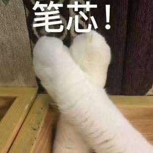 轻松一刻:你笑国足踢的菜,国足笑你还房贷! 轻松一刻:你笑国足踢的菜,国足笑你还房贷!