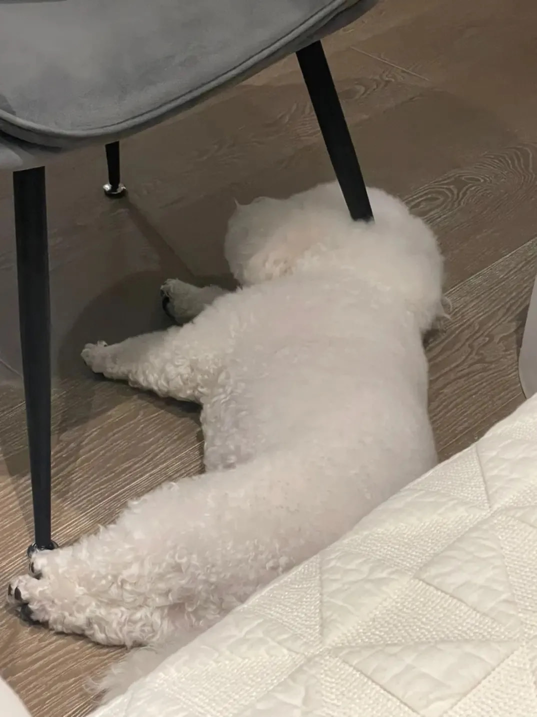 轻松一刻:当你看到这张图,表示今年一定发大财 轻松一刻:当你看到这张图,表示今年一定发大财