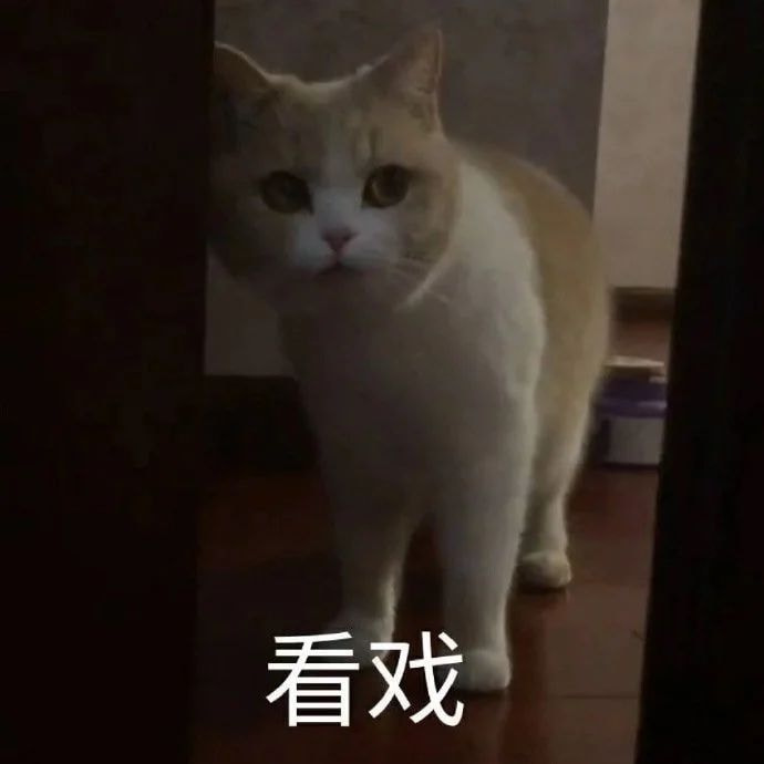 轻松一刻:当你看到这张图,表示今年一定发大财 轻松一刻:当你看到这张图,表示今年一定发大财