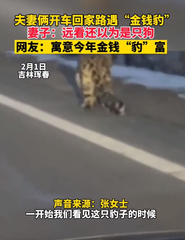 轻松一刻:当你看到这张图,表示今年一定发大财 轻松一刻:当你看到这张图,表示今年一定发大财
