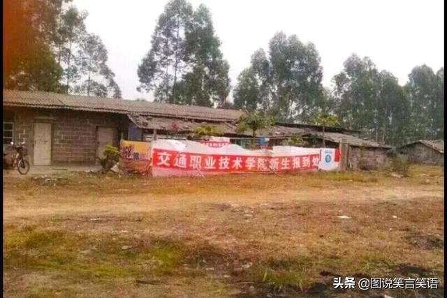 “外国小伙子:在你们国家千万不要夜跑,太危险”,真相笑死我了 “外国小伙子:在你们国家千万不要夜跑,太危险”,真相笑死我了