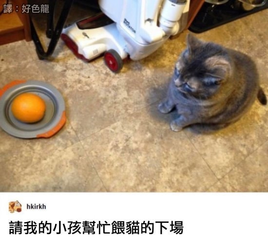 轻松一刻:吃剩菜,好像已经成为了春节习俗? 轻松一刻:吃剩菜,好像已经成为了春节习俗?