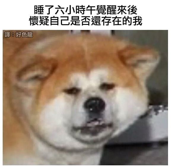 轻松一刻:芭比Q了!过个年把主任看成主人了! 轻松一刻:芭比Q了!过个年把主任看成主人了!