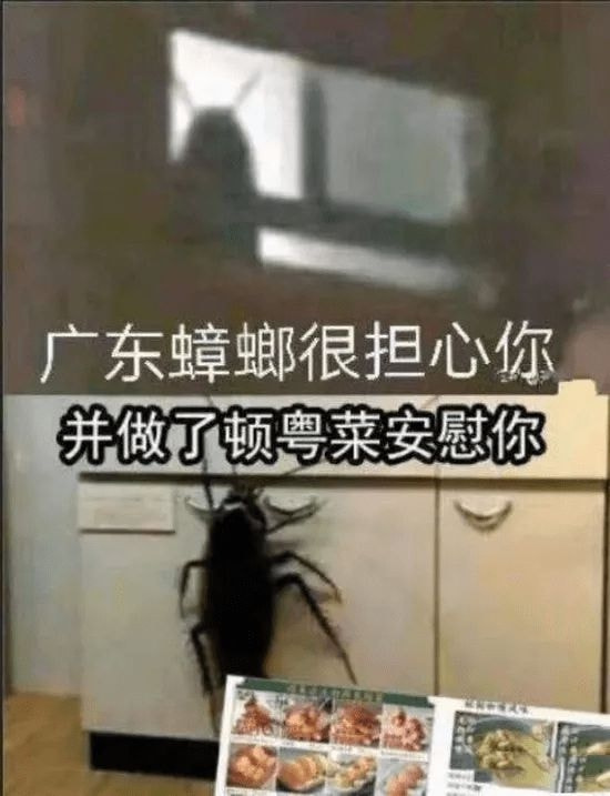 轻松一刻除夕特别版:接下来的一年,也要常来玩啊 轻松一刻除夕特别版:接下来的一年,也要常来玩啊