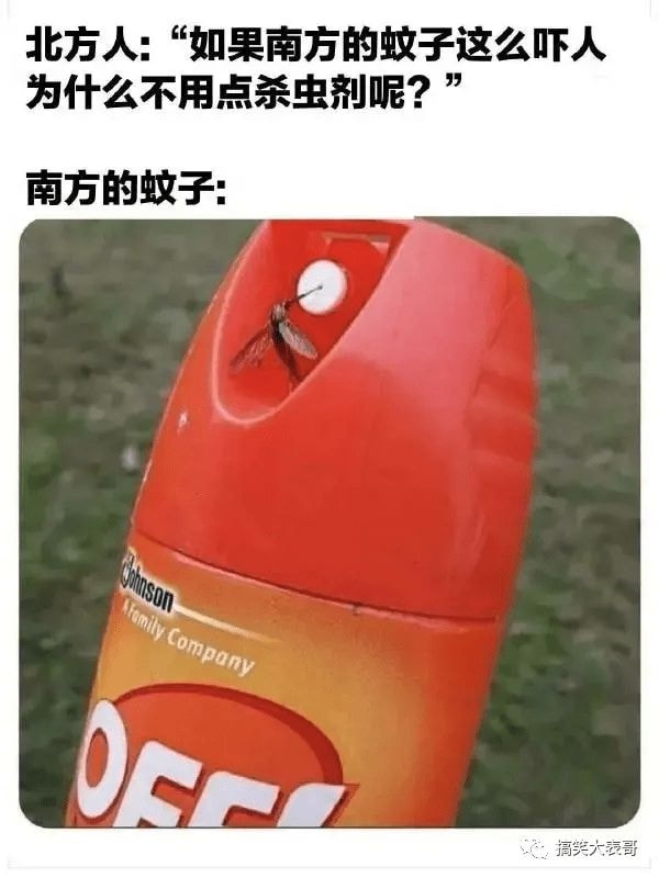 轻松一刻除夕特别版:接下来的一年,也要常来玩啊 轻松一刻除夕特别版:接下来的一年,也要常来玩啊