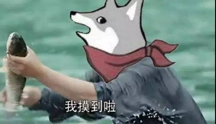 轻松一刻除夕特别版:接下来的一年,也要常来玩啊 轻松一刻除夕特别版:接下来的一年,也要常来玩啊