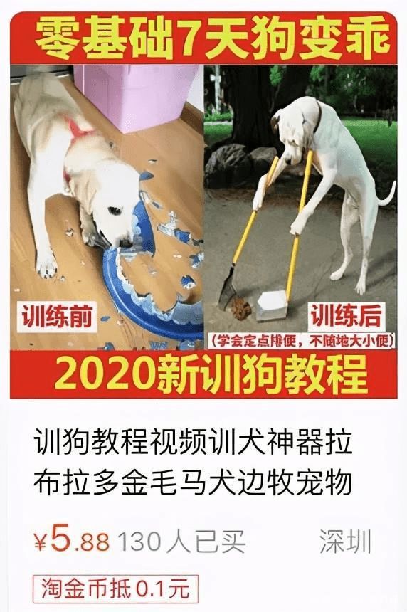 轻松一刻除夕特别版:接下来的一年,也要常来玩啊 轻松一刻除夕特别版:接下来的一年,也要常来玩啊