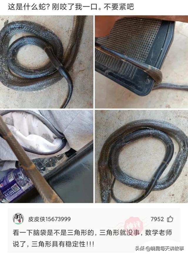 神回复:我新开的火锅店,为什么生意这么差?难道是菜单的问题吗 神回复:我新开的火锅店,为什么生意这么差?难道是菜单的问题吗