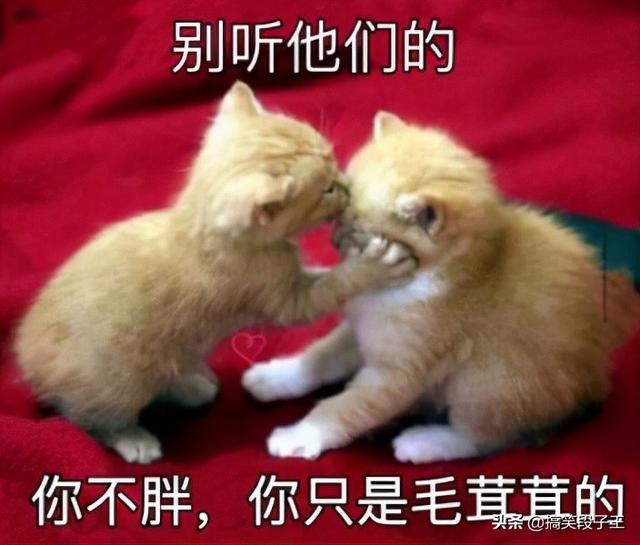 搞笑段子:发烧想找女经理请假,本想发“我发烧了”,结果不小心 搞笑段子:发烧想找女经理请假,本想发“我发烧了”,结果不小心