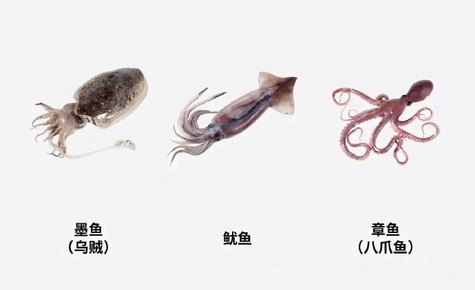 轻松一刻:这张图抓紧保存,它能让你秒赚160万! 轻松一刻:这张图抓紧保存,它能让你秒赚160万!