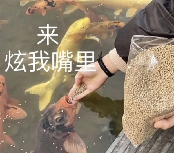 轻松一刻:好消息,今天股市不开门,不跌了!!! 轻松一刻:好消息,今天股市不开门,不跌了!!!