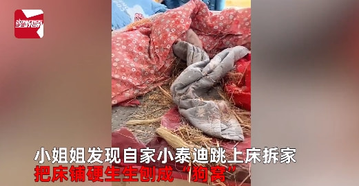 轻松一刻:好消息,今天股市不开门,不跌了!!! 轻松一刻:好消息,今天股市不开门,不跌了!!!