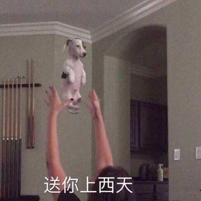 轻松一刻:好消息,今天股市不开门,不跌了!!! 轻松一刻:好消息,今天股市不开门,不跌了!!!