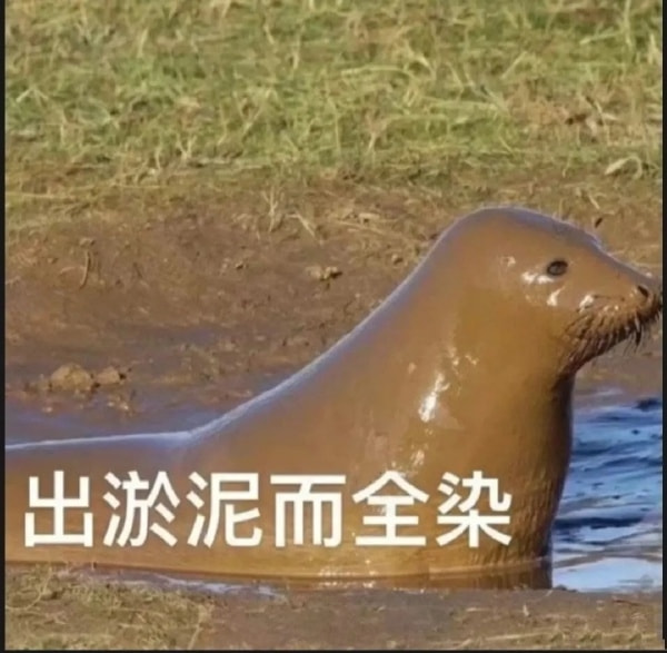 轻松一刻:谁说短的就不行?我现在就觉得挺好! 轻松一刻:谁说短的就不行?我现在就觉得挺好!