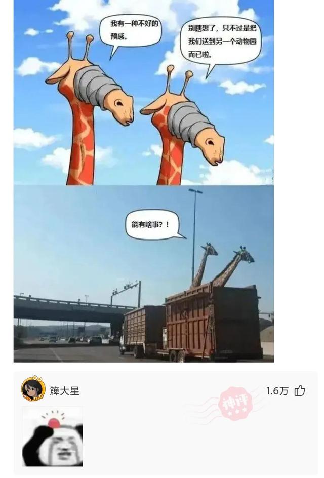 神回复:我也写了同样的东西 神回复:我也写了同样的东西