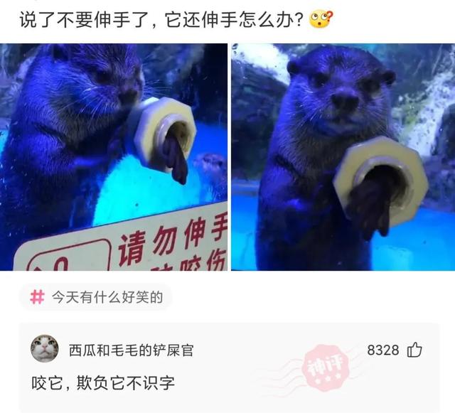 神回复:我也写了同样的东西 神回复:我也写了同样的东西