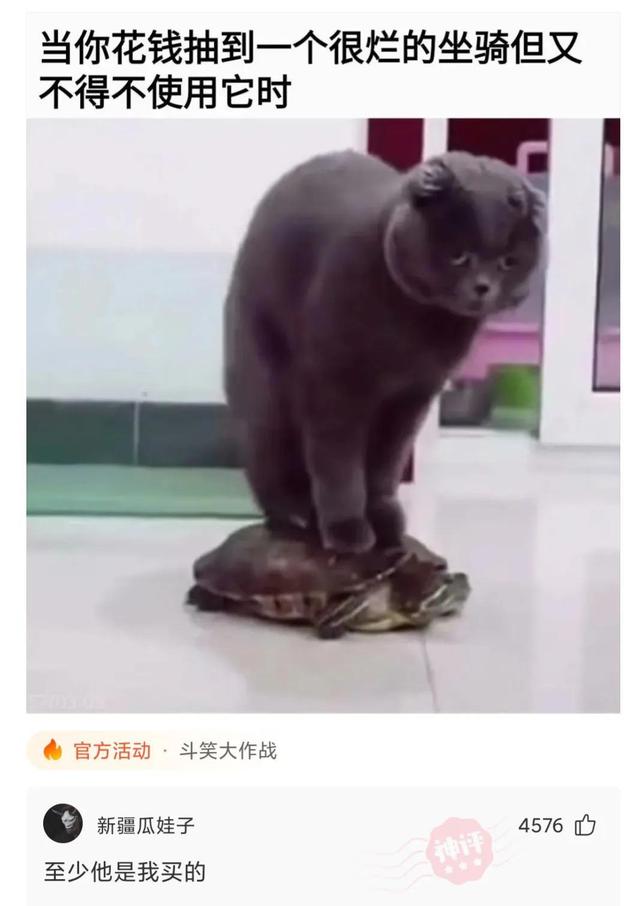 神回复:我也写了同样的东西 神回复:我也写了同样的东西