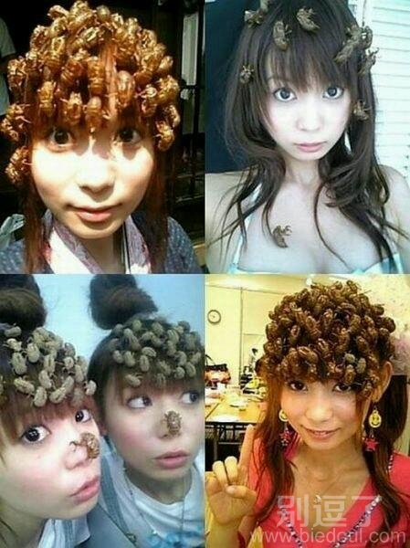 妹子的蚕蛹发型。。 妹子的蚕蛹发型。。