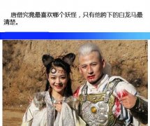 恐怕就他最懂师傅的七情六欲了