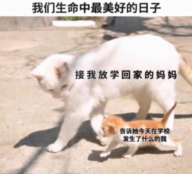 怎们样才能让女朋友把脚从桌子上拿开呢